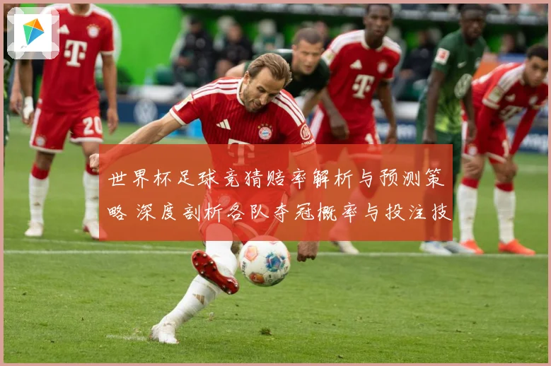 世界杯足球竞猜赔率解析与预测策略 深度剖析各队夺冠概率与投注技巧
