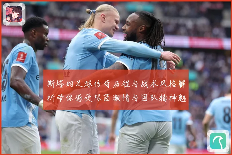 斯塔姆足球传奇历程与战术风格解析带你感受绿茵激情与团队精神魅力