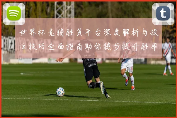 世界杯竞猜胜负平台深度解析与投注技巧全面指南助你稳步提升胜率