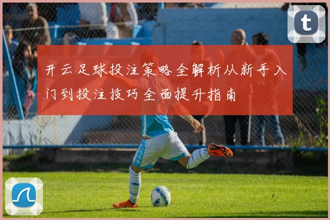 开云足球投注策略全解析从新手入门到投注技巧全面提升指南