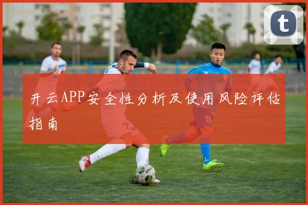 开云APP安全性分析及使用风险评估指南