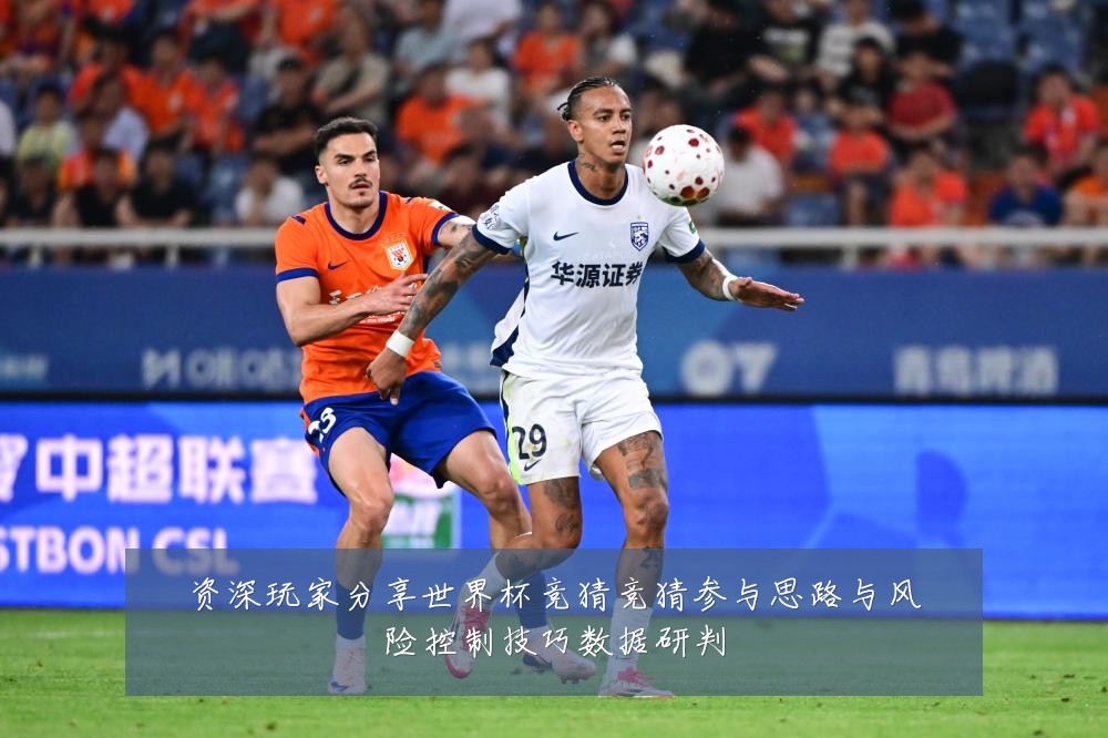 资深玩家分享世界杯竞猜竞猜参与思路与风险控制技巧数据研判