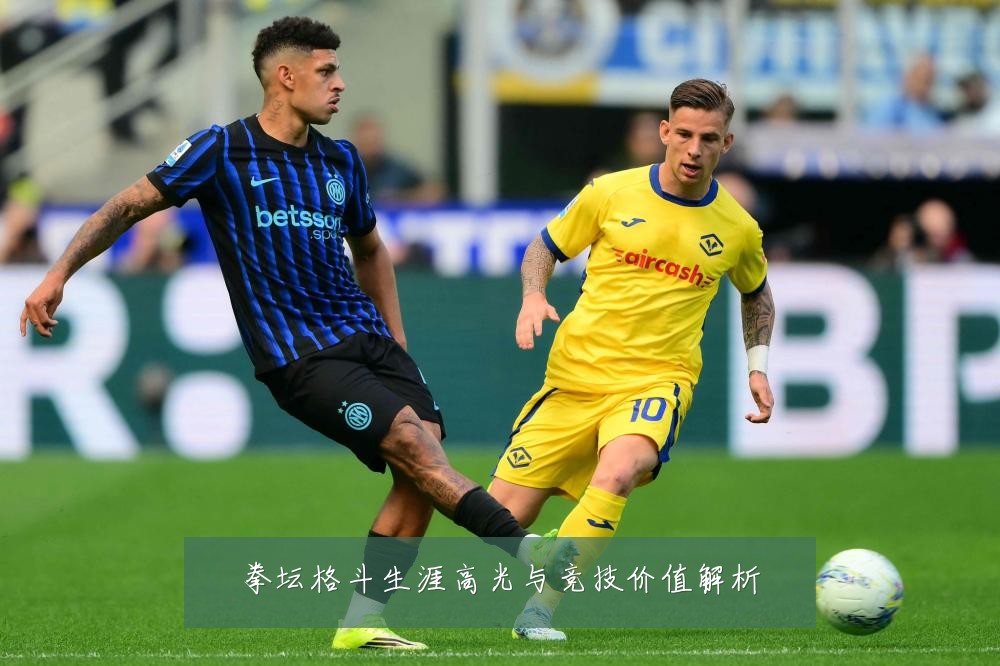 拳坛格斗生涯高光与竞技价值解析